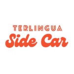 Terlingua Side Car profile image